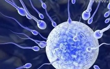 48岁高龄做试管婴儿成功率有多高？怎么说？