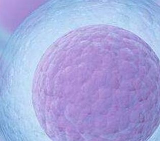 第三代试管费用多少？第三代试管费用一览