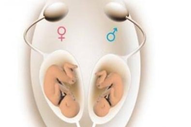 海口地区有哪些私立的机构可以做试管技术？海口人工授精好的医院有哪些？